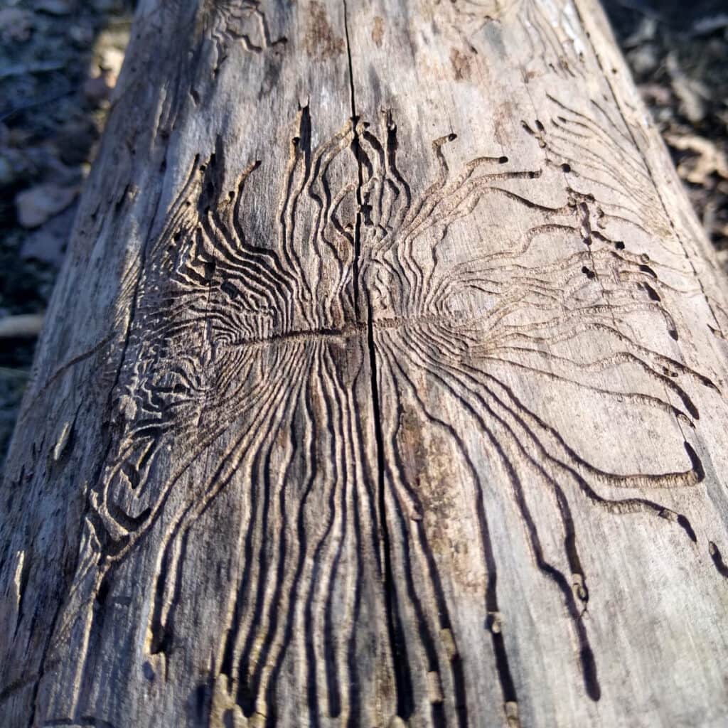 naturhandwerk