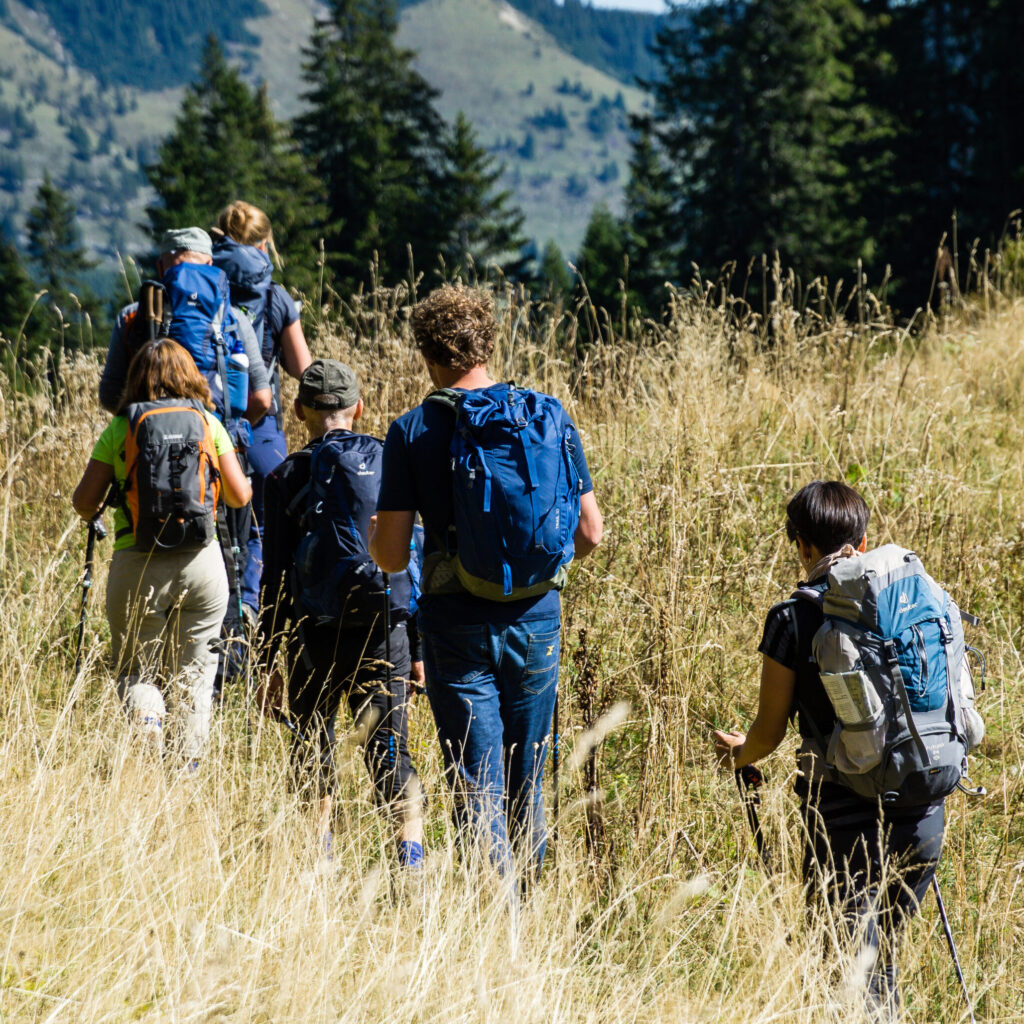 alpenentdecker, (c) Laura Wollschläger, Herbstwanderung