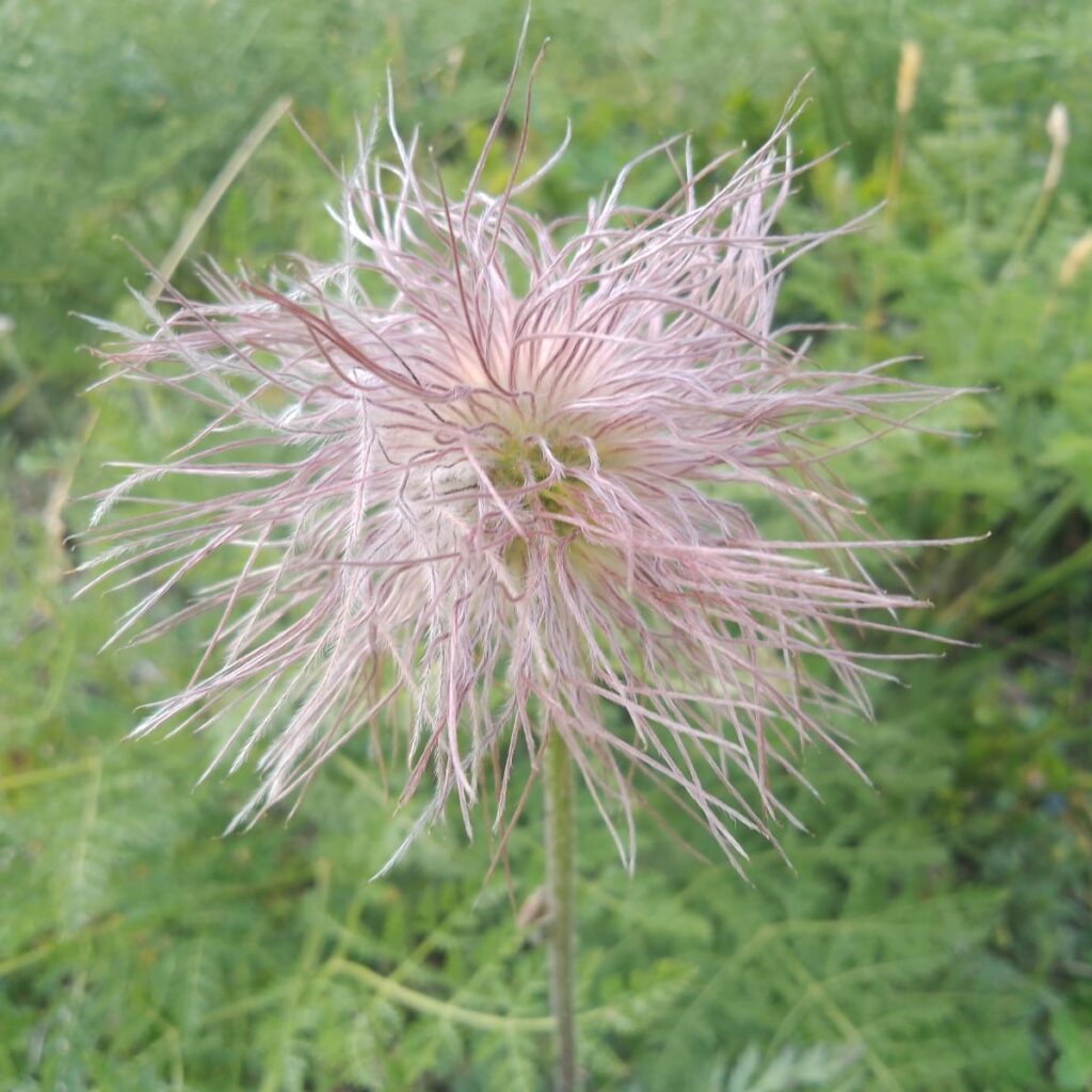 Wanderung mit allen Sinnen