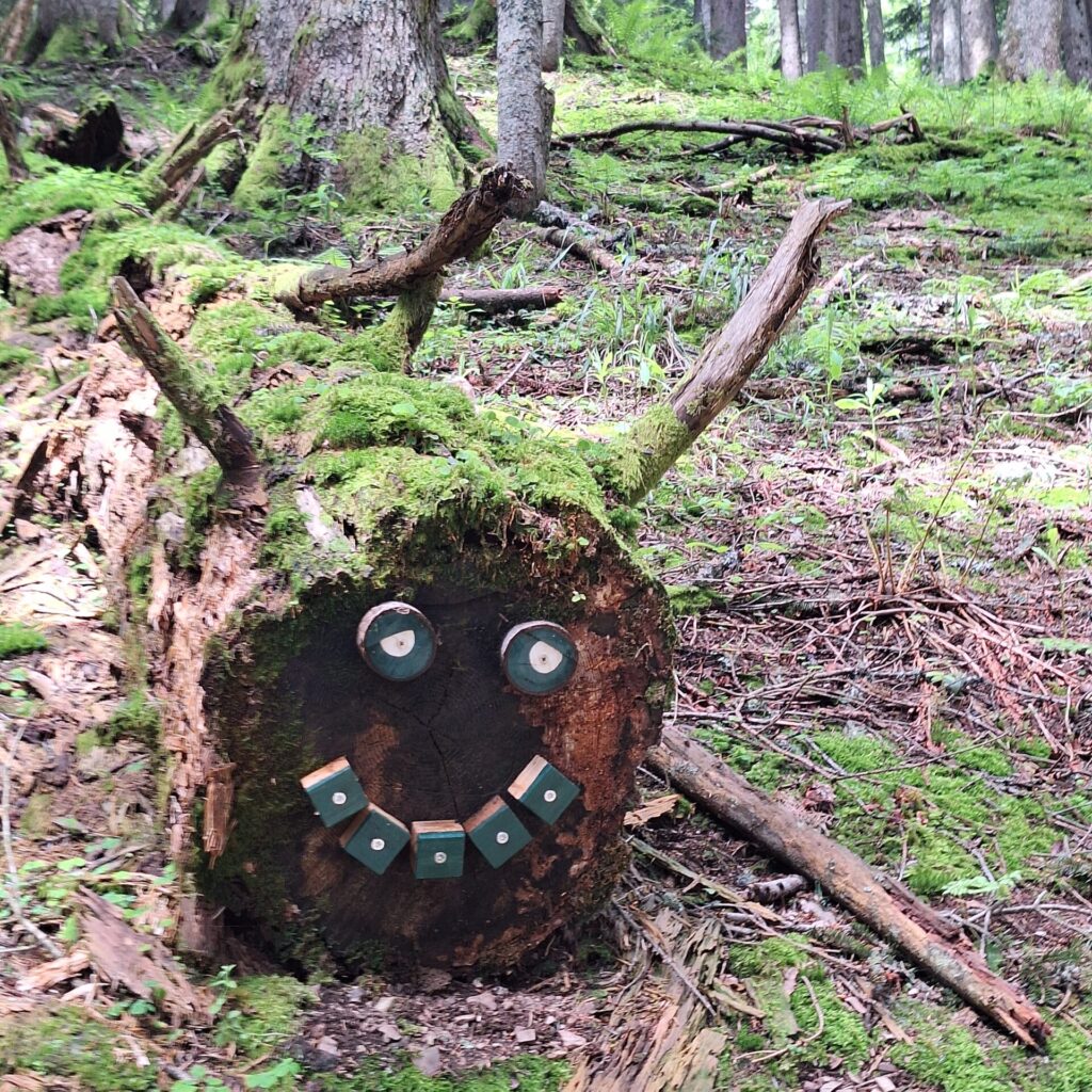 Draußen-Schultag, Draußen-Unterricht, Waldmonster, Landart,