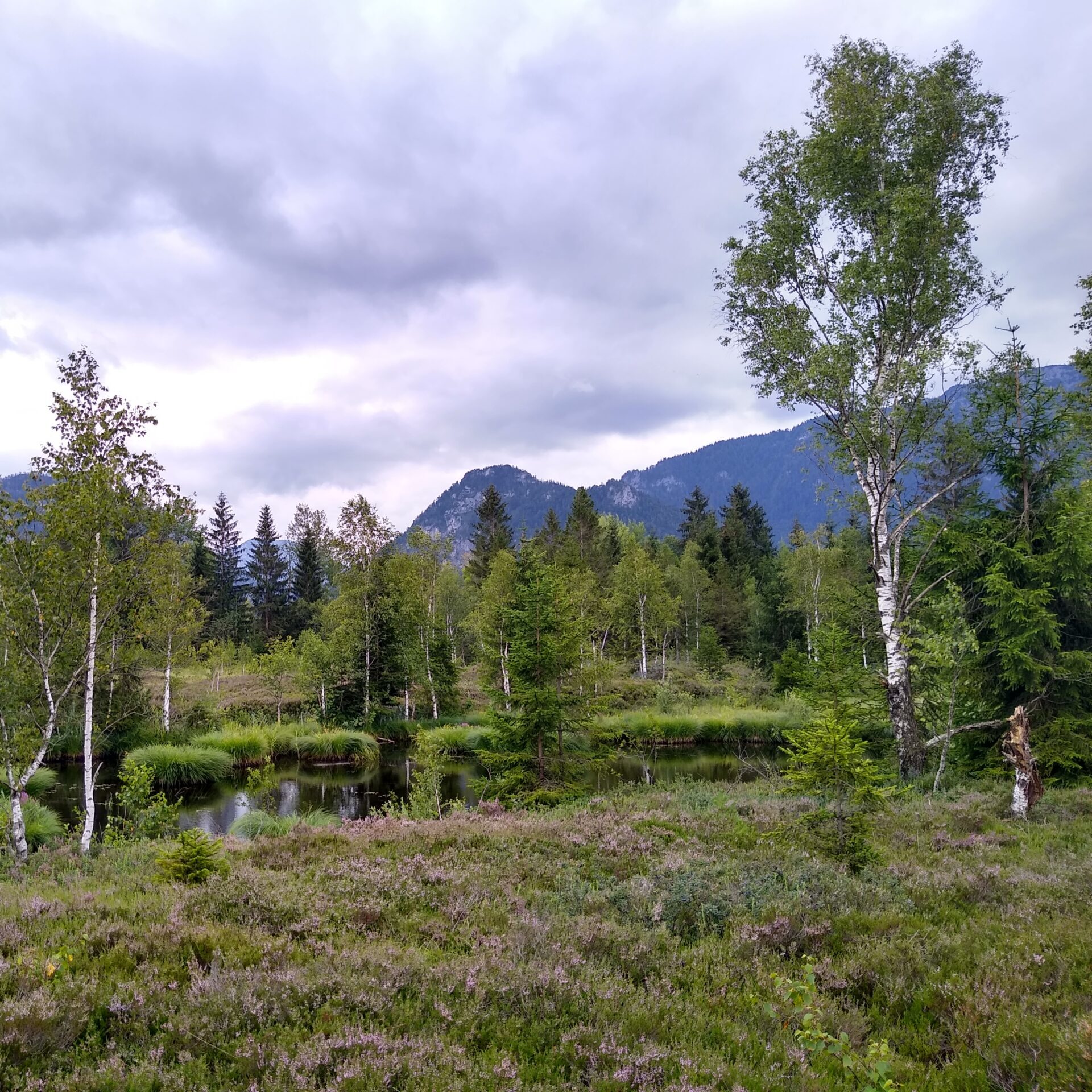IMG_20200802_105944140_HDR