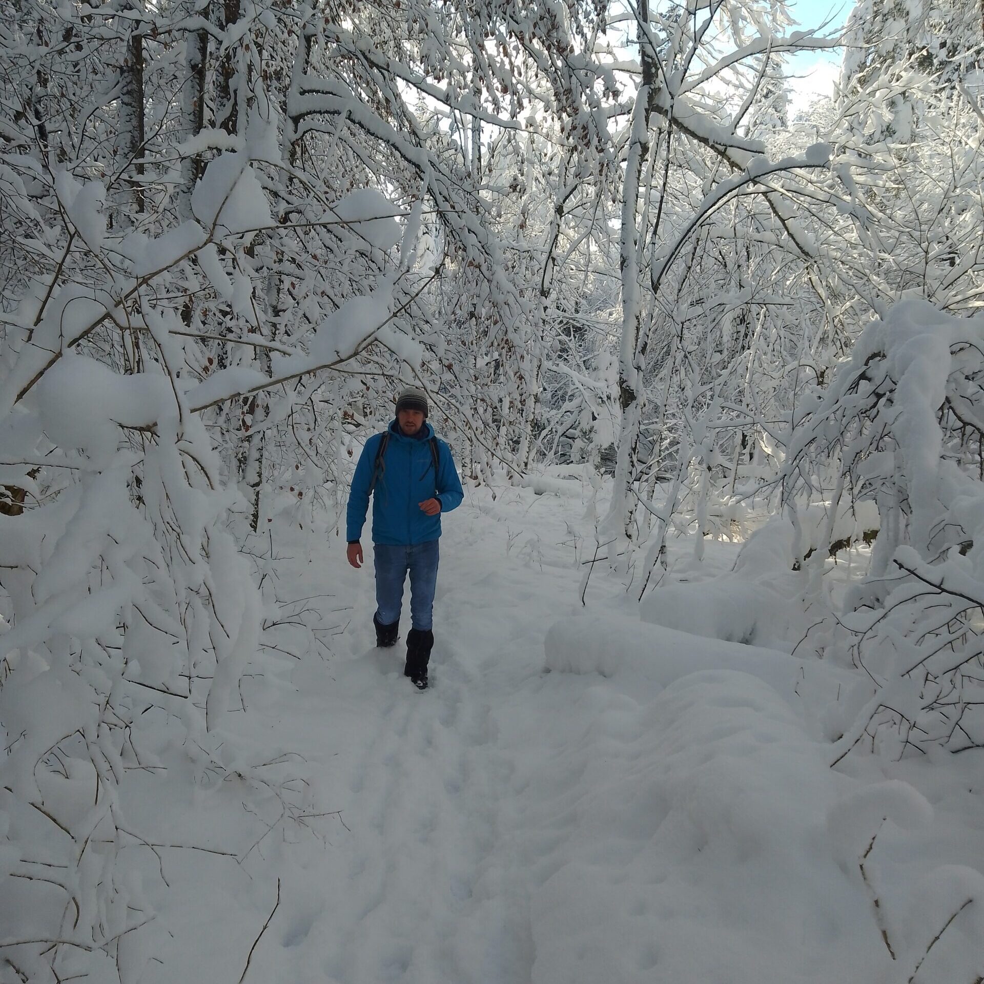 Schnee Frostige Tagesexpedition