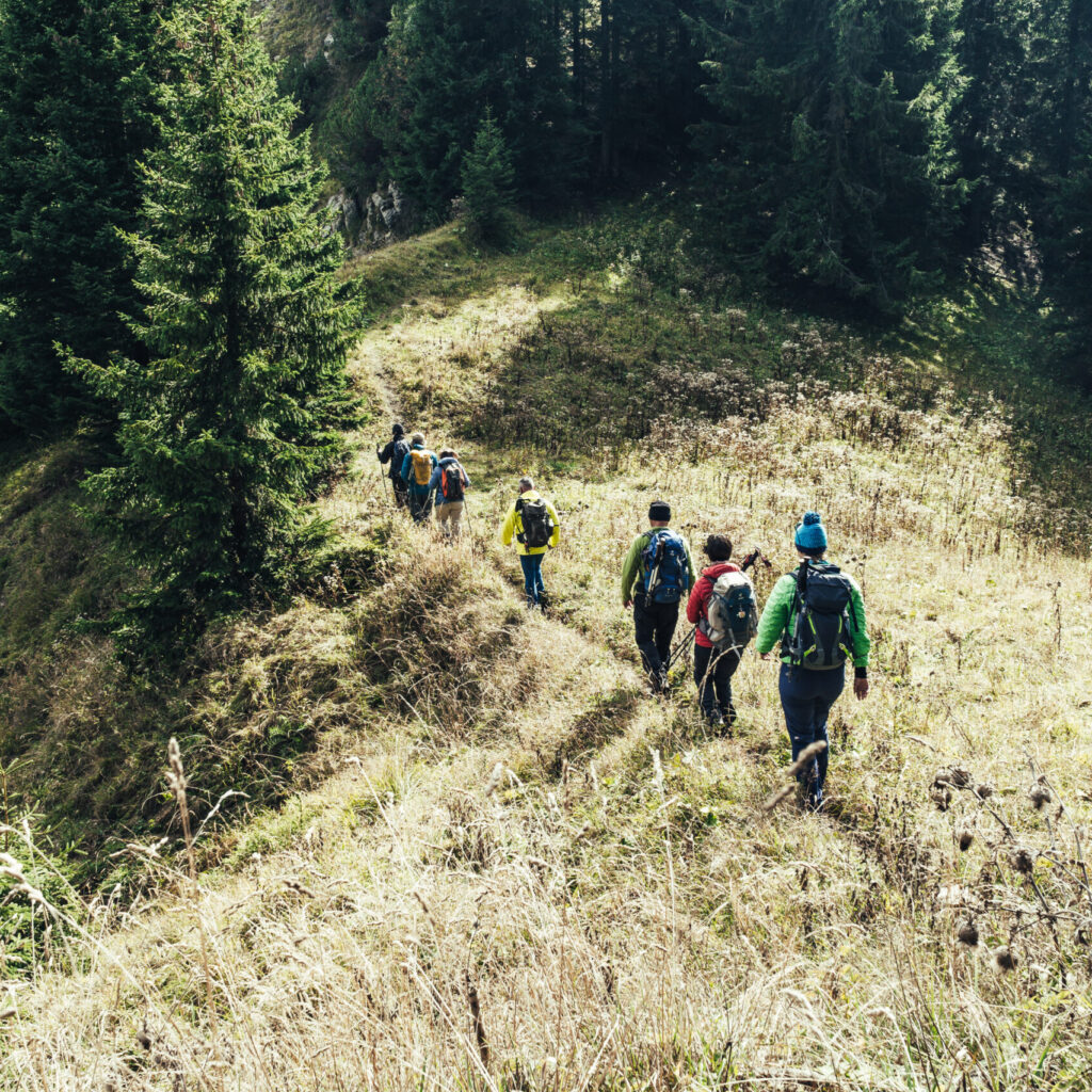 alpenentdecker, (c) Laura Wollschläger, Gruppe gemeinsam am Berg, Wandern mit allen Sinnen