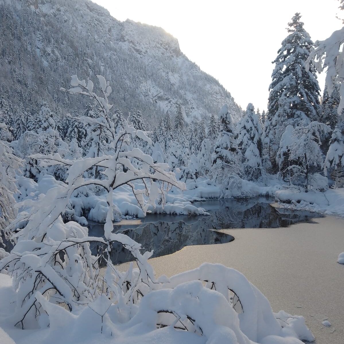 Winterorientierung