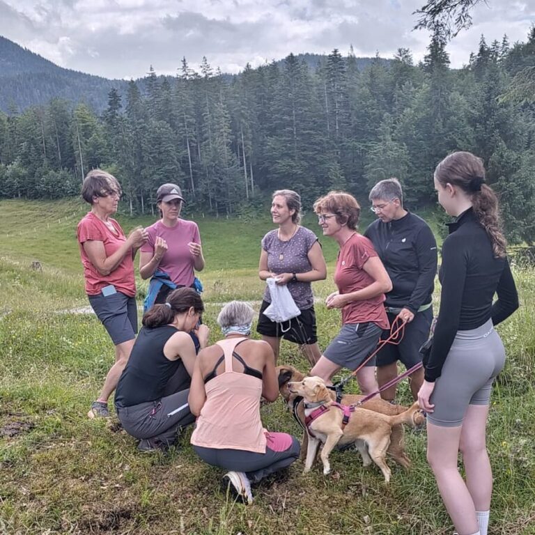 Neugierde beim gemeinsamen Entdecken | Foto: A. Heinisch